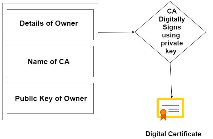creación y contenido certificado digital