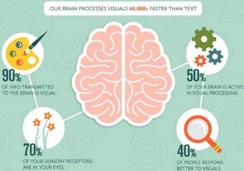 cerebro visual